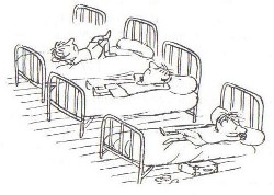 Как спахме следобед - илюстрация от "Ваканциите на малкия Никола"
