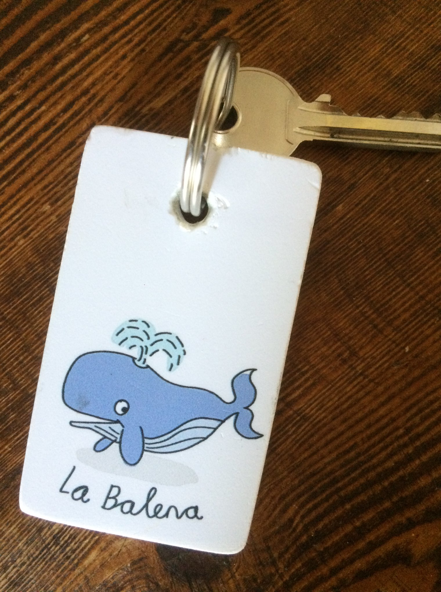 Ваканция с Пинокио – изображение 4