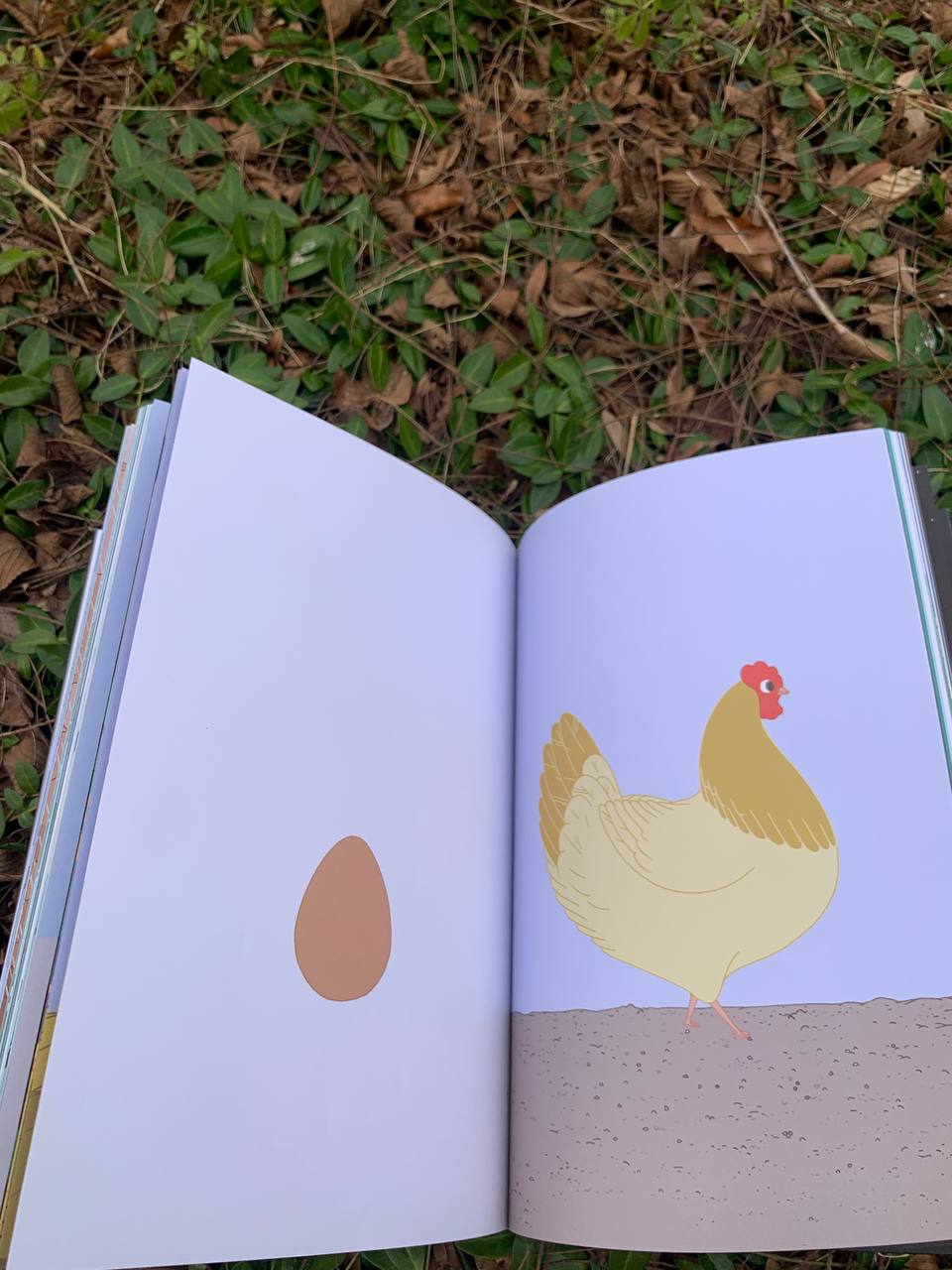 Voor en Na – изображение 3