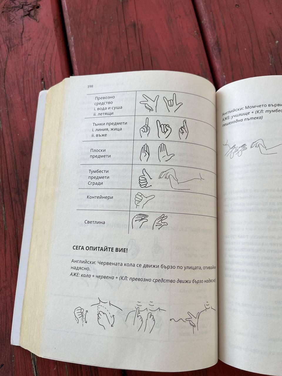 Тихата гора – изображение 9