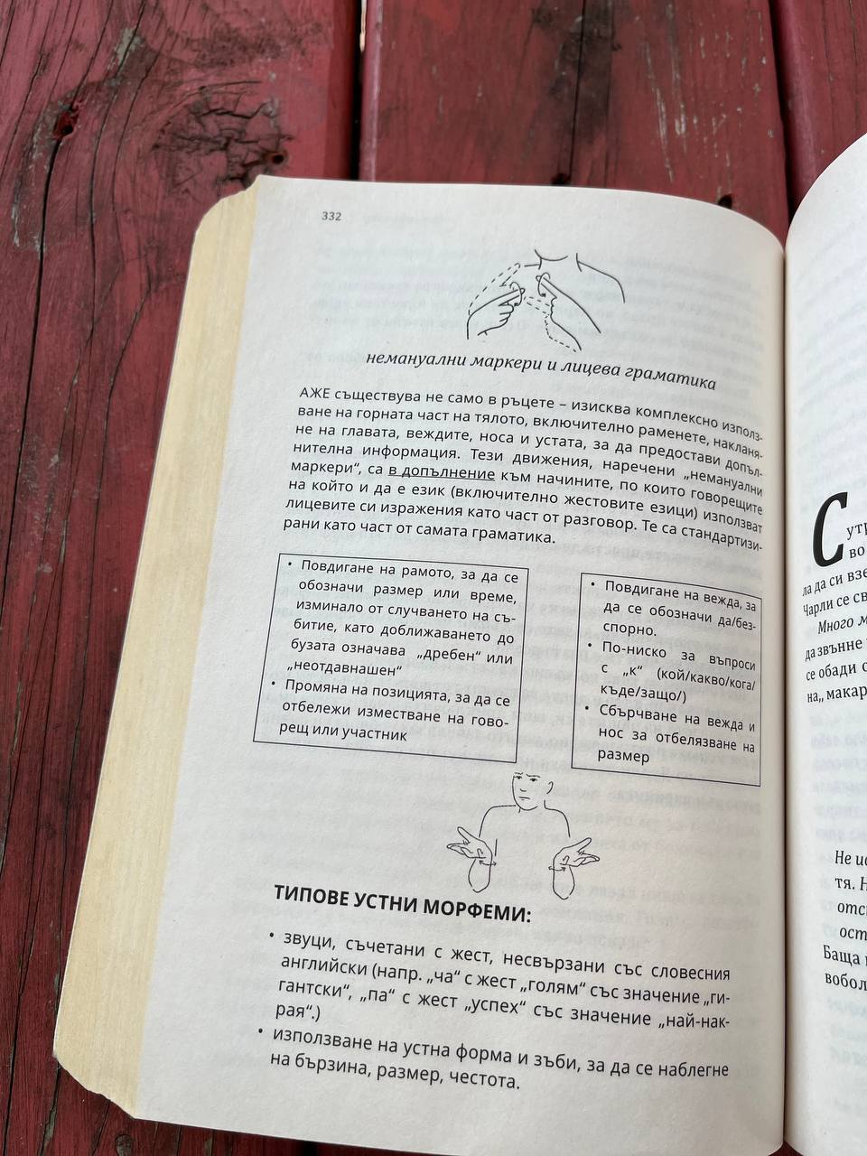 Тихата гора – изображение 10