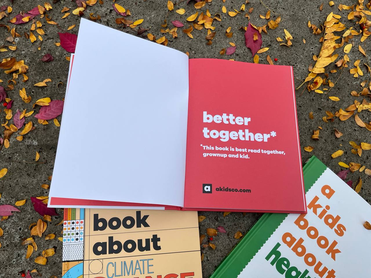 A kids book about racism – изображение 2