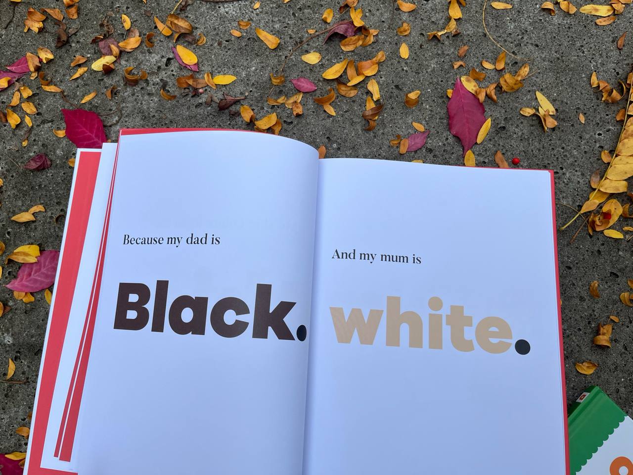 A kids book about racism – изображение 4