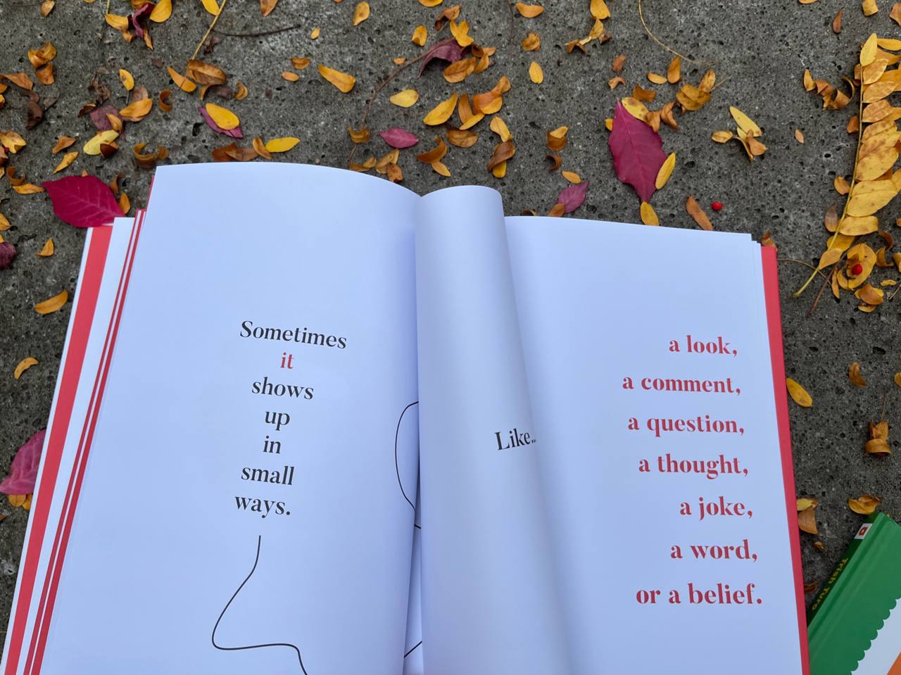 A kids book about racism – изображение 7