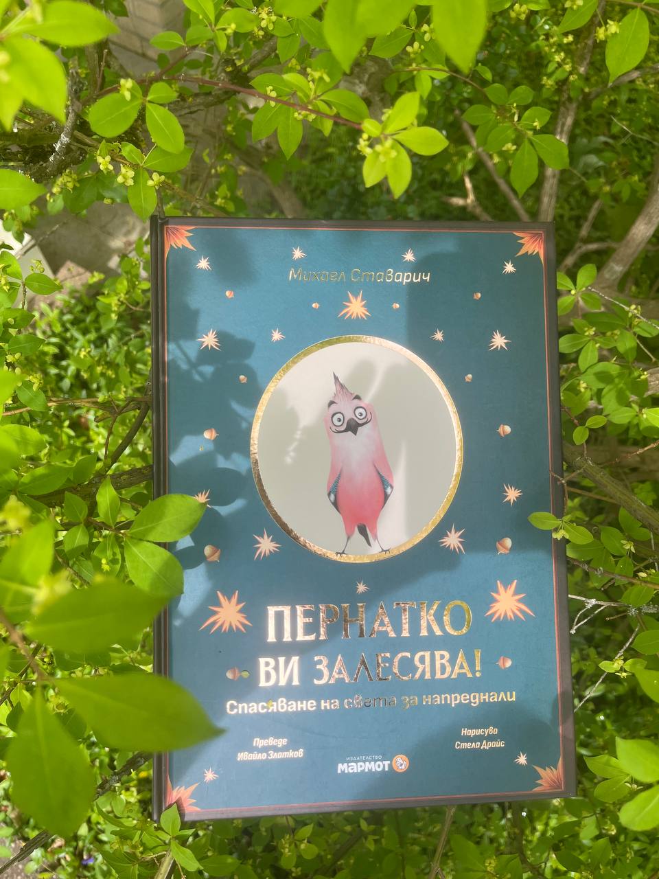Пернатко ви залесява!