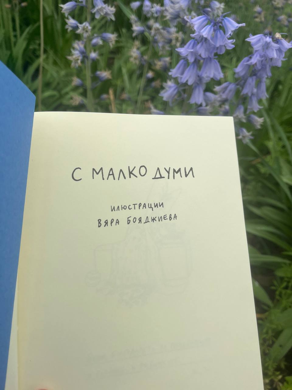 С малко думи – изображение 2