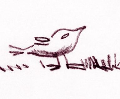 Птиче, което излита от книга