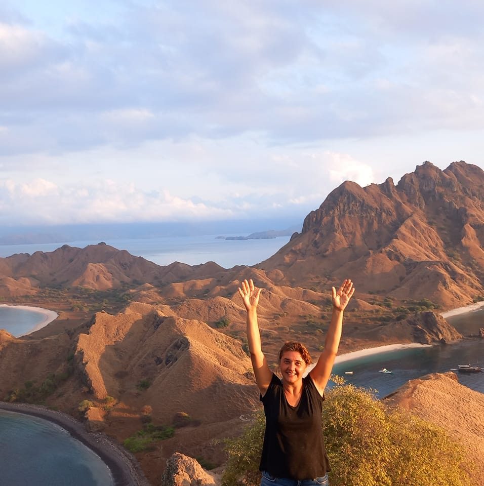 Варвара Вълчанова – Ара